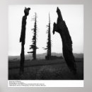 Suche nach ansel adams poster California