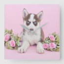 Suche nach beautiful wanduhren Roses