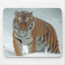 Suche nach schnee mousepads Katze