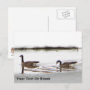 Suche nach gänse postkarten Kanadengas