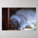 Suche nach merkwürdige poster Niedlich