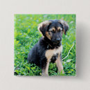 Suche nach cute quadratische buttons Animal