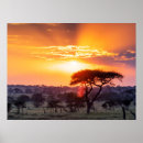 Suche nach serengeti nationalpark poster Safari