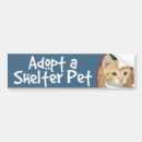 Suche nach katzen adoption autoaufkleber Schutz