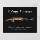 Suche nach alabama postkarten Fischerei