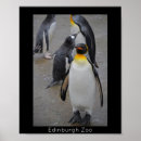 Suche nach schottland poster Natur