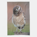 Suche nach owl geschirr tücher Tiere