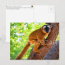 Suche nach madagaskar postkarten Reise