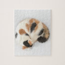 Suche nach schlafender puzzle Haustier