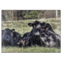 Suche nach weide schneidebrettchen Natur