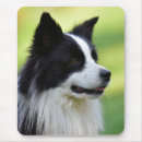 Suche nach collies mousepads Haustier