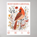 Suche nach staatsvogel poster Kardinal