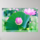 Suche nach knospe poster Blüte