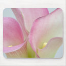 Suche nach calla mousepads Rosa