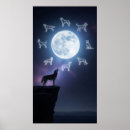 Suche nach silhouetten der schwarzen katze poster Nacht
