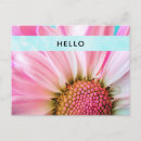 Suche nach rosa blüten postkarten Fotografie
