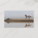Suche nach pferdebild Western