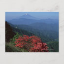 Suche nach rote pflanze poster Horizontal