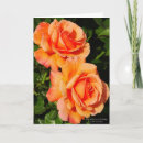 Suche nach orange rose karten Blume