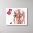 Suche nach dreidimensional poster Ader