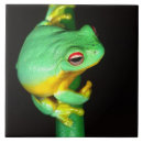 Suche nach roter frosch fliesen Laubfrosch