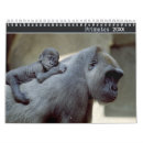 Suche nach primat Tierwelt