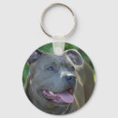 Suche nach pitbull schlüsselanhänger Grube
