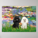 Suche nach schwarz weiße lilie poster Poodle
