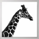 Suche nach giraffe geschenke Tiere