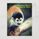 Suche nach primates karten Wild