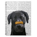 Suche nach nasen Labrador