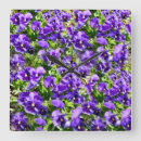 Suche nach viola wanduhren Pansy