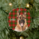 Suche nach deutscher schäferhund ornamente Urlaub