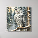 Suche nach owl leinwandbilder Vogelvogel