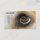 Suche nach hundeauge Haustier