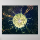 Suche nach neuronen poster Synapse