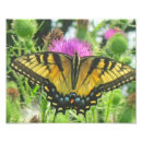 Suche nach distel poster Natur