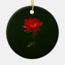 Suche nach mum ornamente Blume