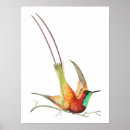 Suche nach kolibri poster Blume