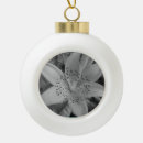 Suche nach tiger ornamente Schnee