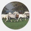 Suche nach laufen aufkleber Reiter