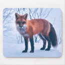 Suche nach roter fuchs mousepads Natur