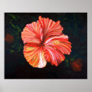 Suche nach tropische malerei poster Hibiskus
