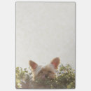 Suche nach yorkshire terrier post it Welpe