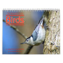 Suche nach specht kalender Spatz