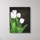 Suche nach weiße tulpen leinwandbilder Grün