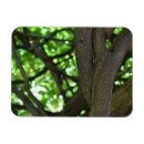 Suche nach green magnete Natur