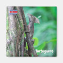 Suche nach lizard magnete Natur