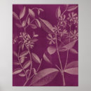 Suche nach botanik poster Blume