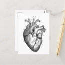 Suche nach anatomisches herz postkarten Darstellung